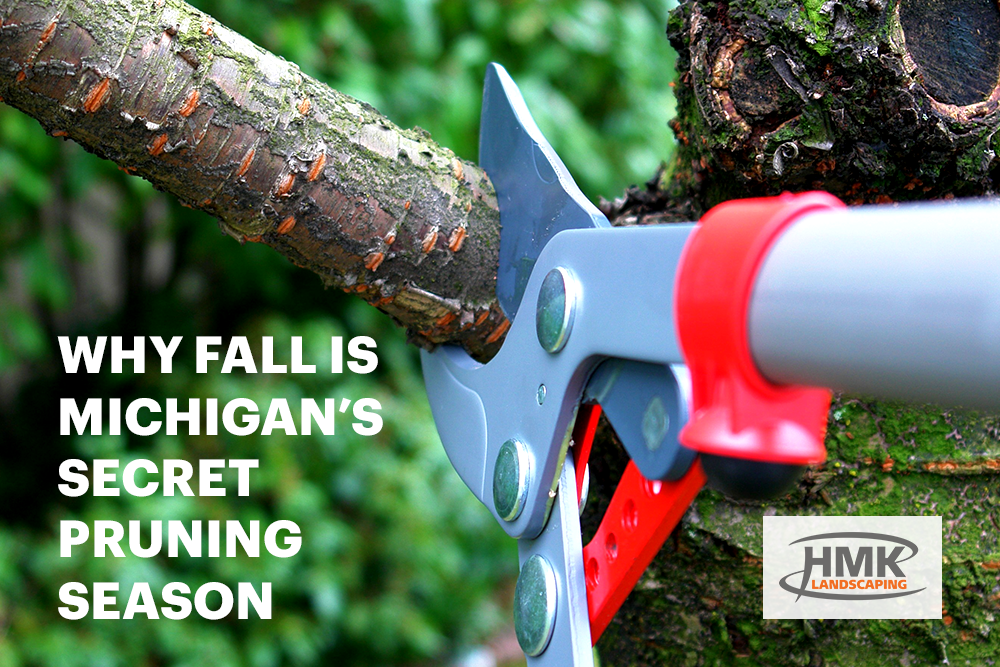 Tree pruning with loppers during fall landscaping maintenance in Michigan