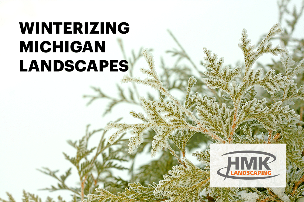 Frost covered arborvitae representing winter landscaping in Michigan