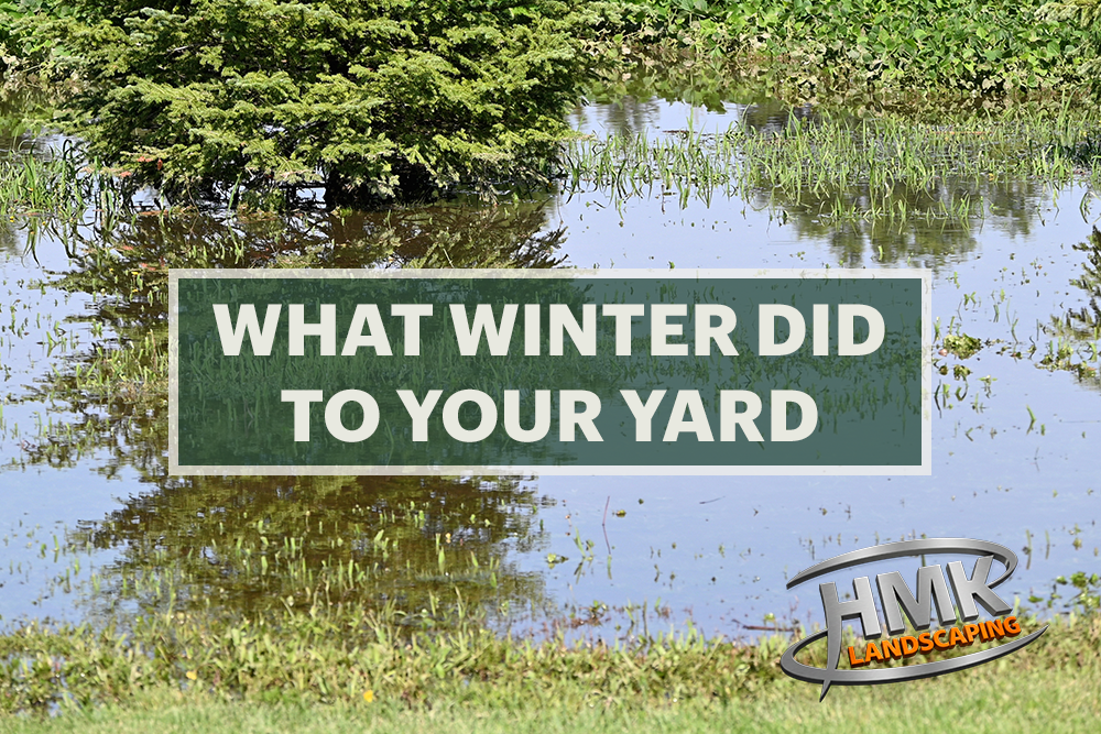 What Winter Left Behind and What Your Yard Actually Needs Right Now